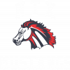 North Texas Mustangs